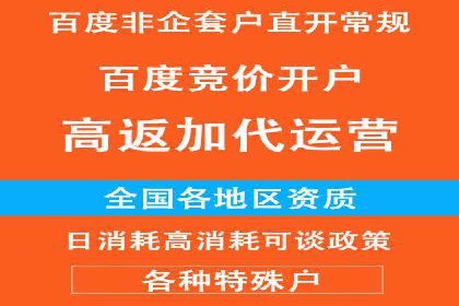 从新手到高手：百度竞价实战案例分析